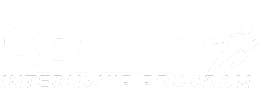 Sprint Internship Program