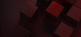 Rapid Blog